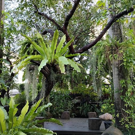 צ'יאנג מאי Sareeviengping Hotel Chiangmai מראה חיצוני תמונה