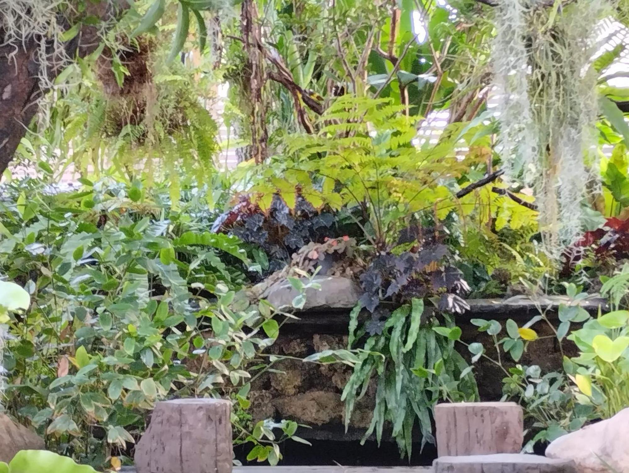 צ'יאנג מאי Sareeviengping Hotel Chiangmai מראה חיצוני תמונה
