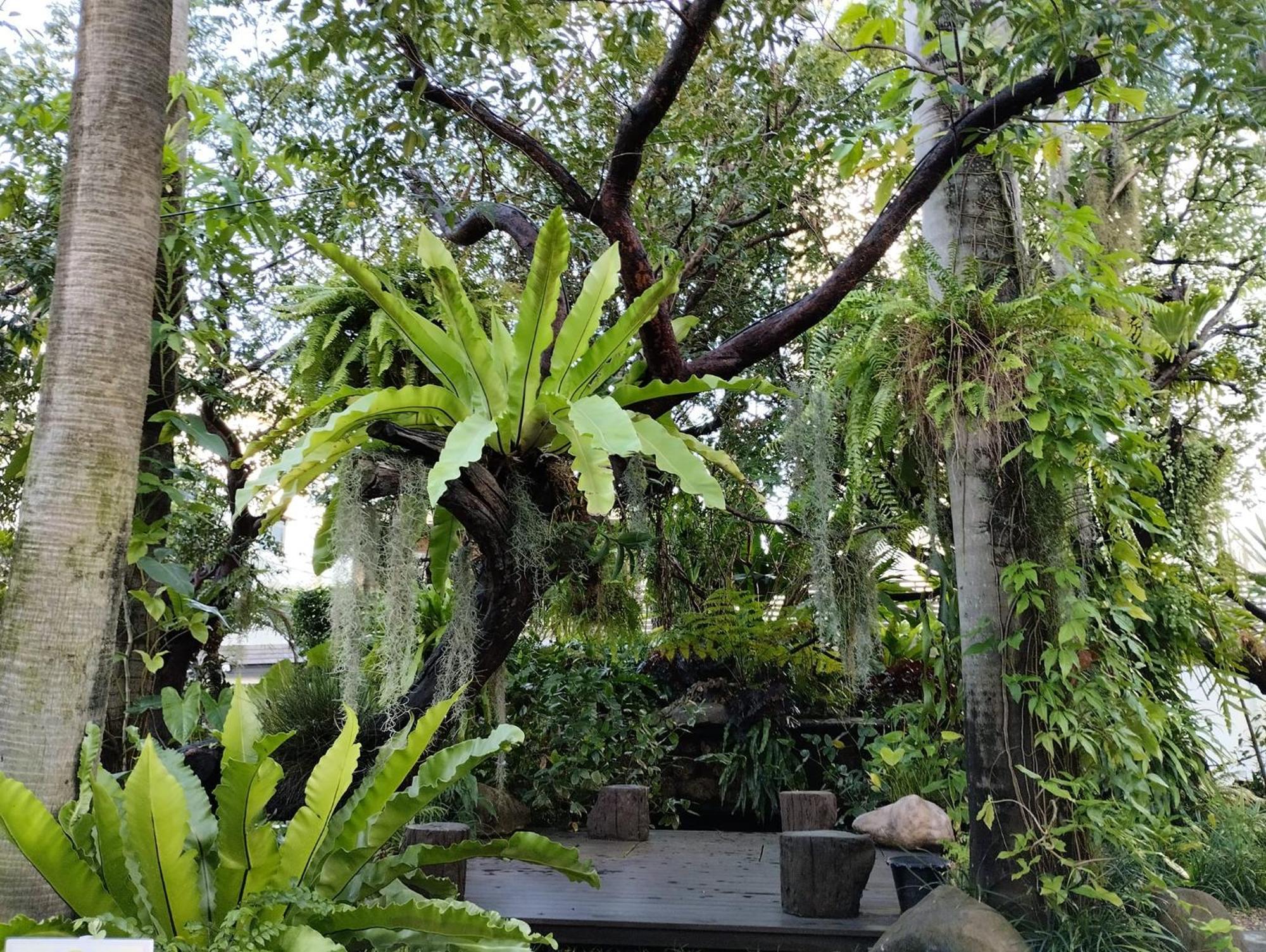 צ'יאנג מאי Sareeviengping Hotel Chiangmai מראה חיצוני תמונה